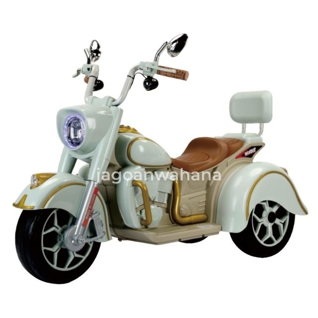 Classic Motorcycle 5