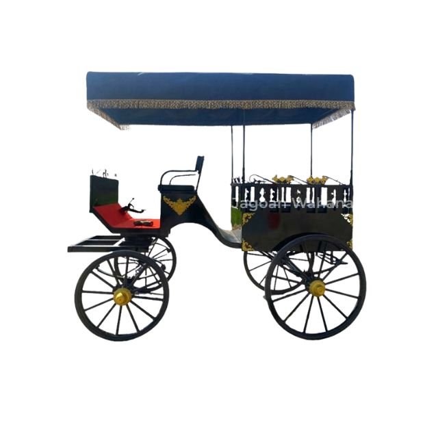 Black Classic Carriage with Canopy 4