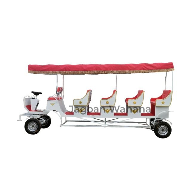 Long Classic Carriage with Canopy 4