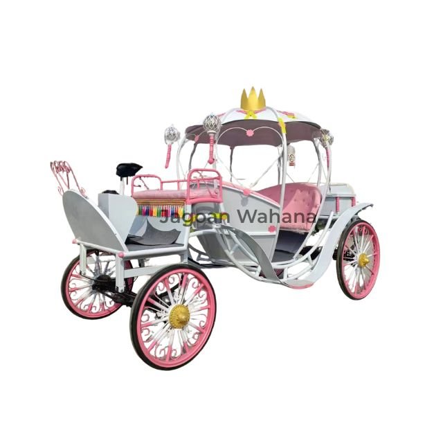 Pink Pumpkin Carriage 2