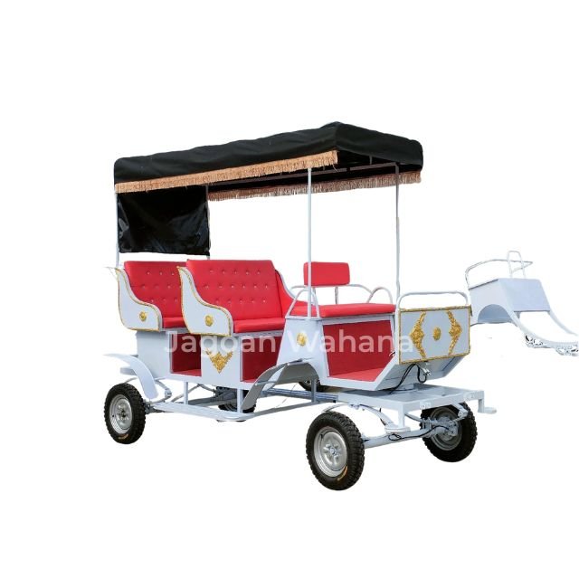 White Classic Carriage with Canopy 6
