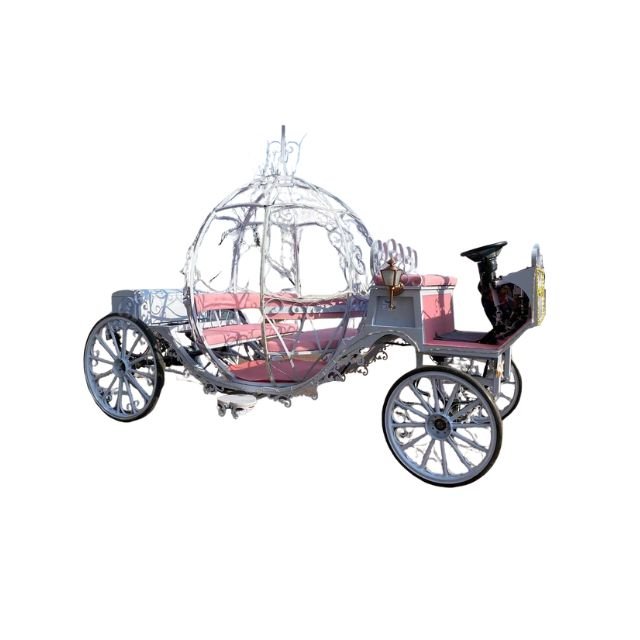 White-pink Pumpkin Carriage