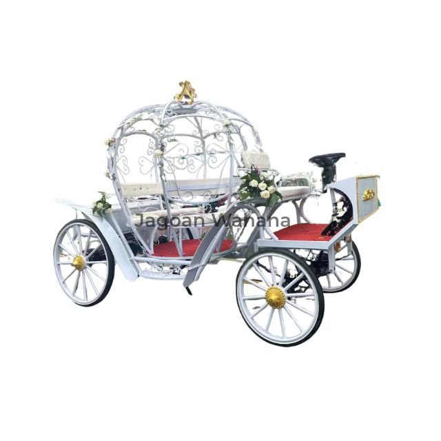 White Pumpkin Carriage 8
