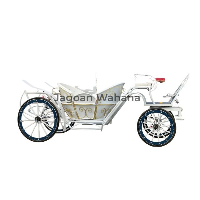 White View Pumpkin Carriage