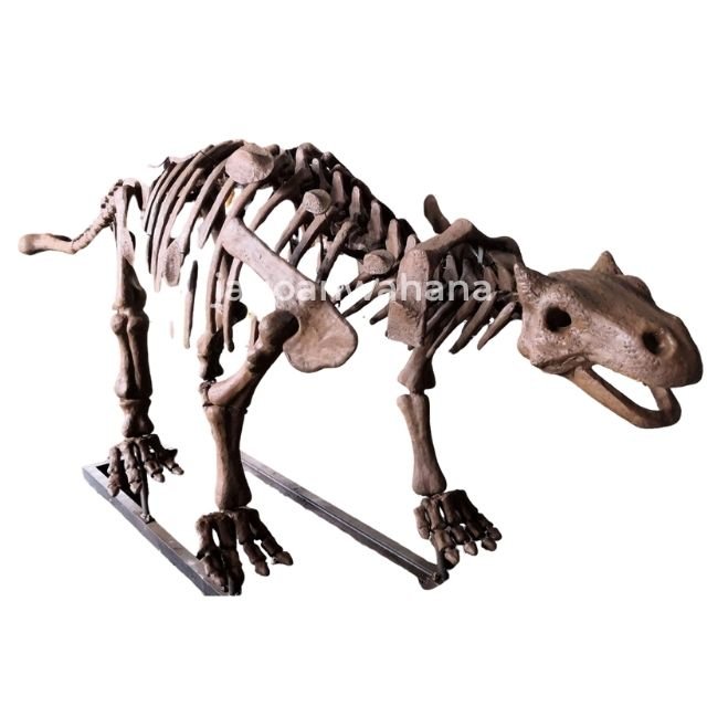 Ankylosaurus Fossil