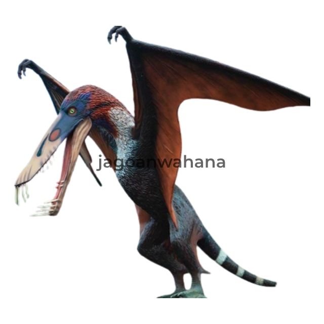 Dimorphodon Statue