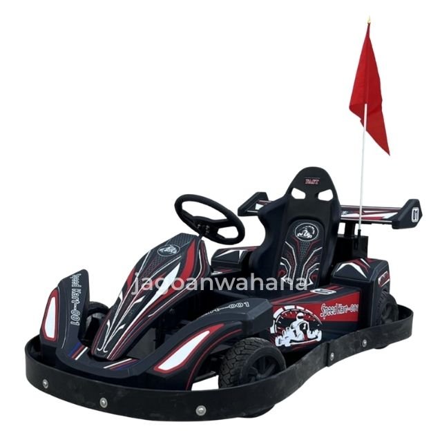 Wahana Go Kart
