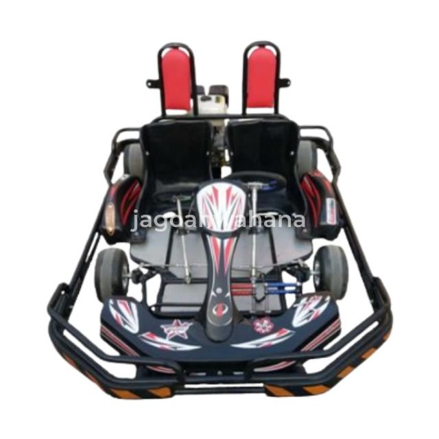 Double Seats Adult Fuel Go Kart