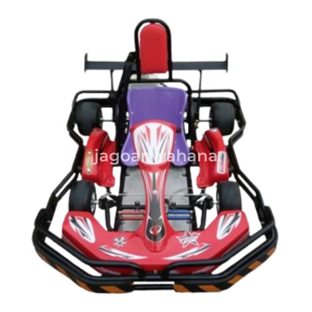 Single Seat Adult Fuel Go Kart