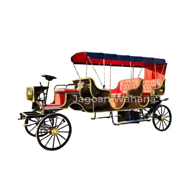 Long Black Classic Carriage with Canopy