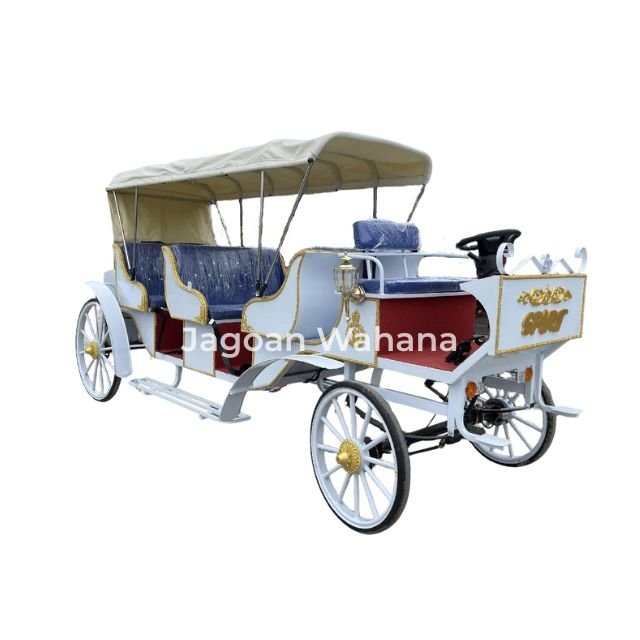 Long Classic Carriage with Canopy