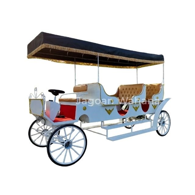 Long Classic Carriage with Canopy 2