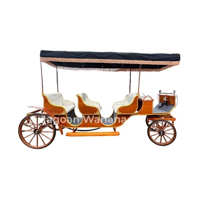 Long Wooden Classic Carriage with Canopy