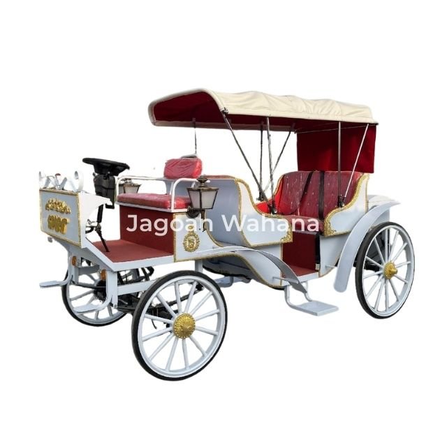 White Classic Carriage with Canopy 3